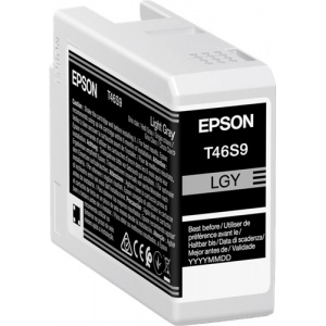 Epson C13T46S900 T46S9 ORIGINAL Cartuccia light grigio chiaro 25ml  8715946681009